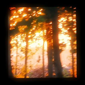 ❌❌白丝美女❌❌❌❌社区
